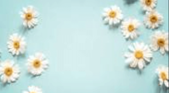 5120x1440p 329 daisies backgrounds