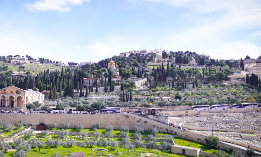 Get Unforgettable Adventure with Israel Bus Tours by Alumah Premium bus Tours