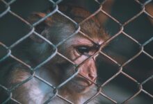 telecom ethics security numbers