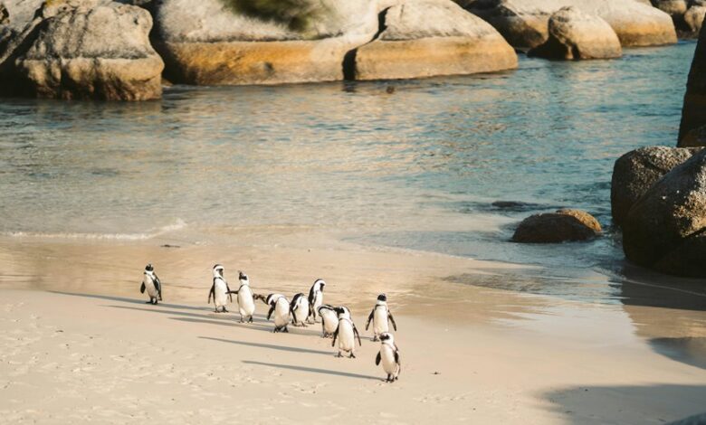 cluster behavior analysis data