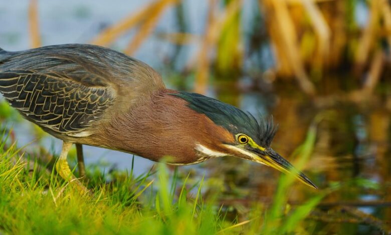 cohort behavior analysis data