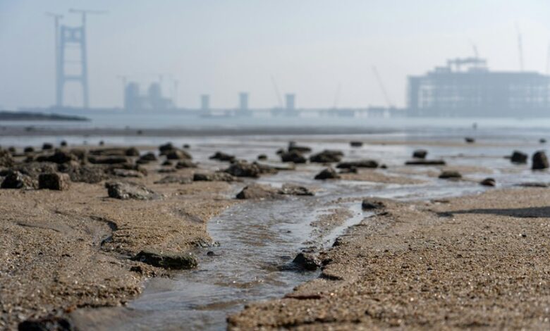 cohort expansion tracking records