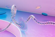 continuity control structuring dossier