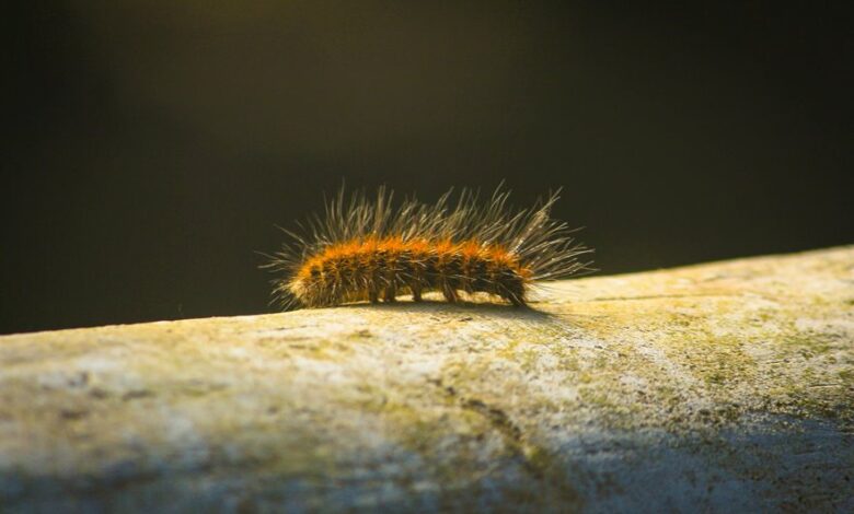 enterprise trend analysis report