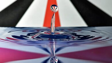 impact nexus for ids