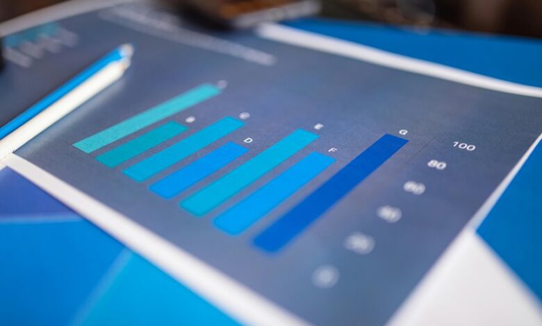 macro trend insight analysis