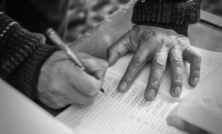 numerical data expansion log