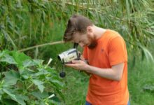 sector growth mapping data