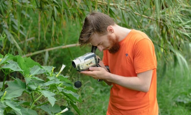 sector growth mapping data