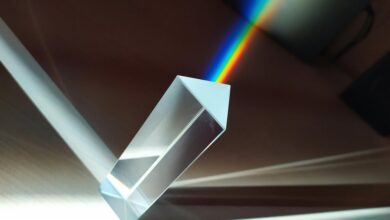 elevation prism shaping next level success