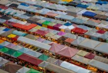 elevation wave start unlocking market opportunities