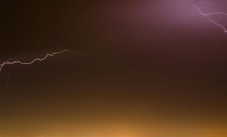 luminous surge drives growth