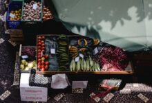 stellar flow start 18559564924