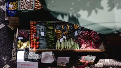 stellar flow start 18559564924