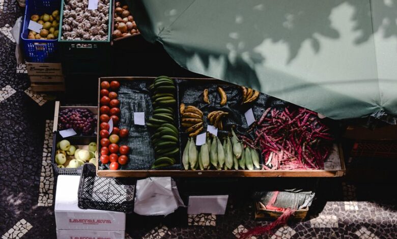 stellar flow start 18559564924