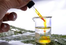 gamma glutamyltransferase enzyme searches