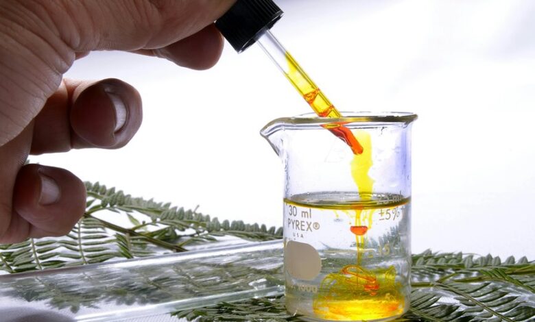 gamma glutamyltransferase enzyme searches