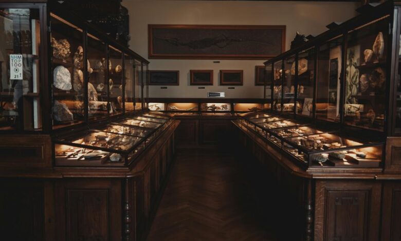 historical aviation curiosity hub searches