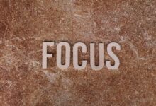 random keyword curiosity hub