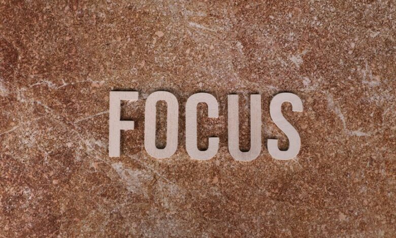 random keyword curiosity hub