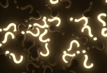 random keyword exploration portal unusual search queries analysis