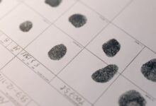access numbers registry evidence