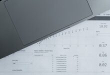 number registry reports for specific ids