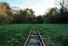 track registry lookups for specific ids